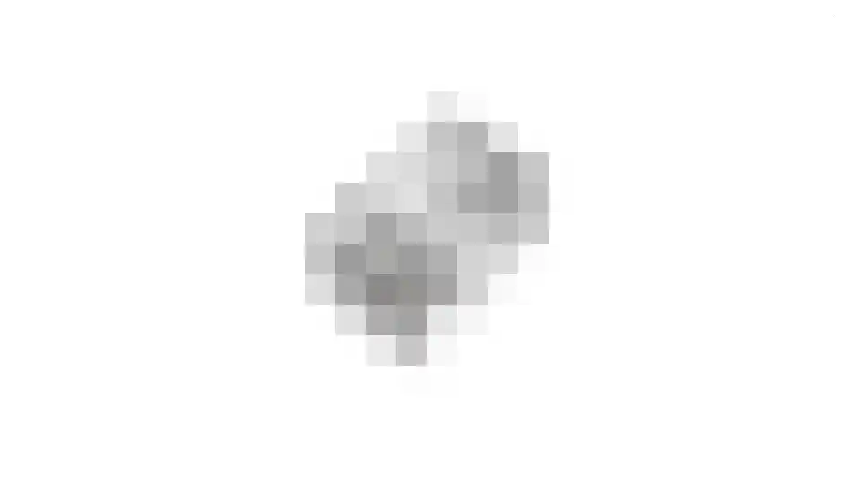 Ooster Boekelweg 34 De Weere thumbnail 61