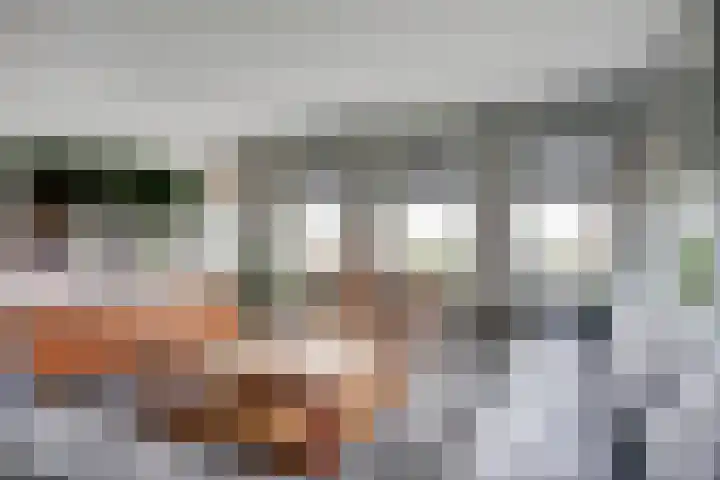 Ooster Boekelweg 54 De Weere thumbnail 10