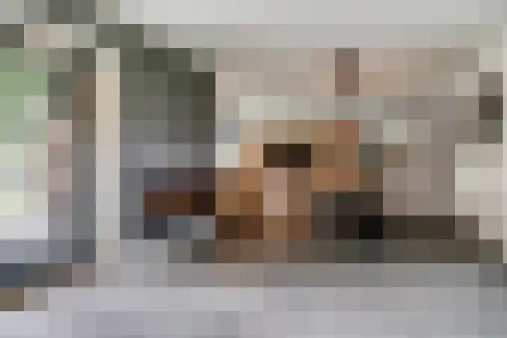 Ooster Boekelweg 54 De Weere thumbnail 14
