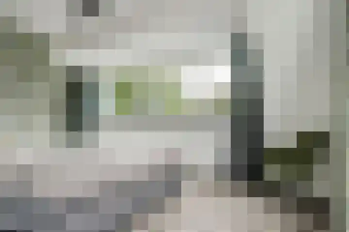 Ooster Boekelweg 54 De Weere thumbnail 34