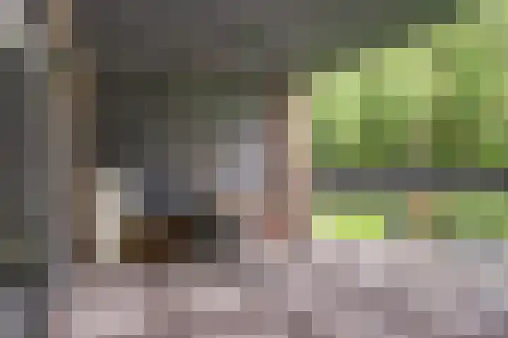 Ooster Boekelweg 54 De Weere thumbnail 43
