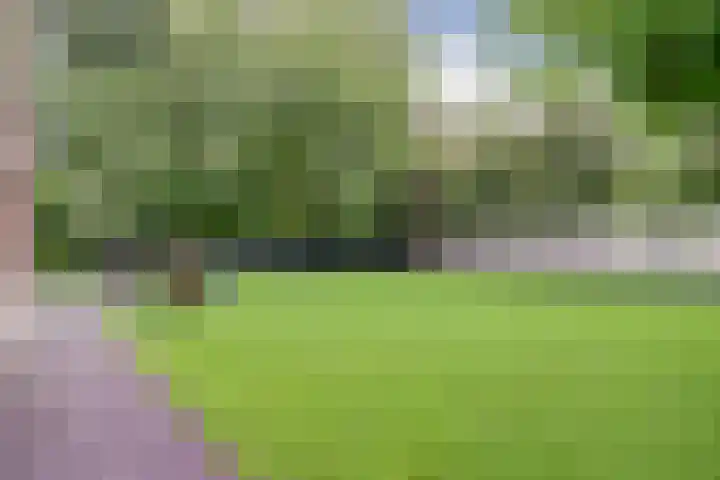 Ooster Boekelweg 54 De Weere thumbnail 48
