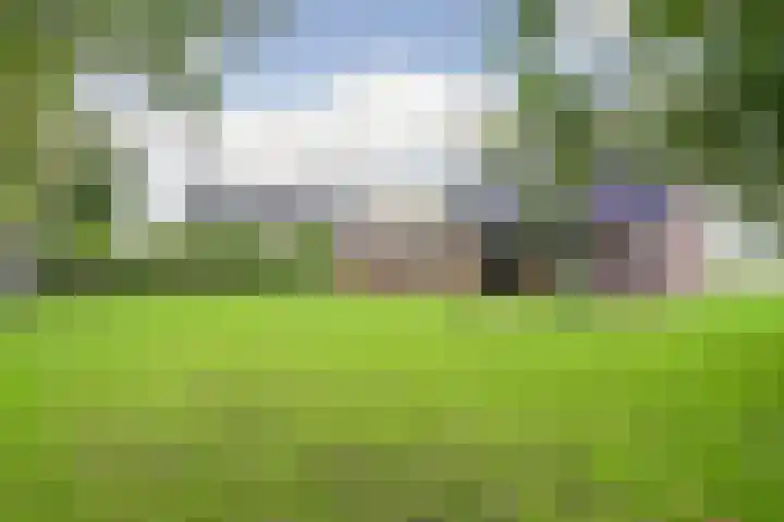 Ooster Boekelweg 54 De Weere thumbnail 49