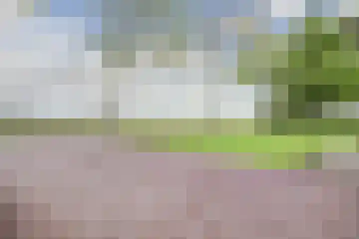 Ooster Boekelweg 54 De Weere thumbnail 53