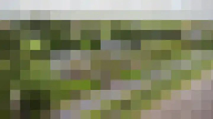 Ooster Boekelweg 54 De Weere thumbnail 56