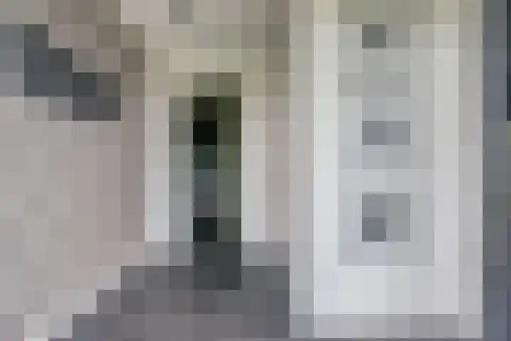 Ooster Boekelweg 54 De Weere thumbnail 7