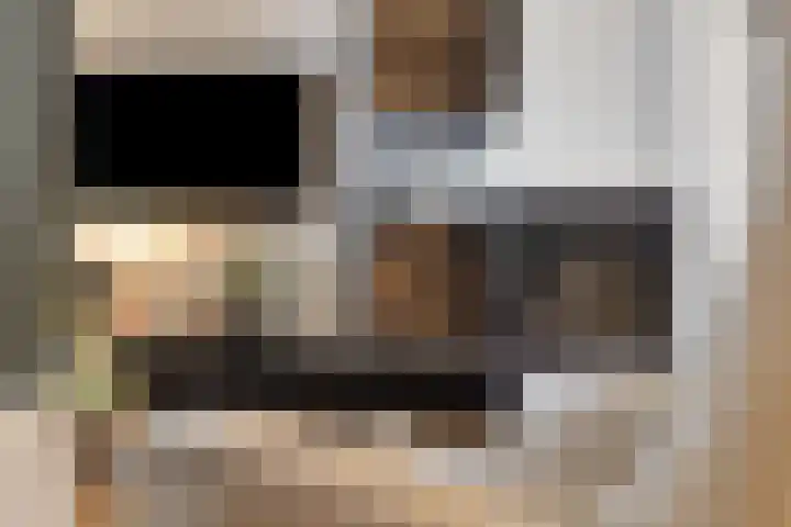 Ooster Lekdijk 8 Krimpen aan de Lek thumbnail 10