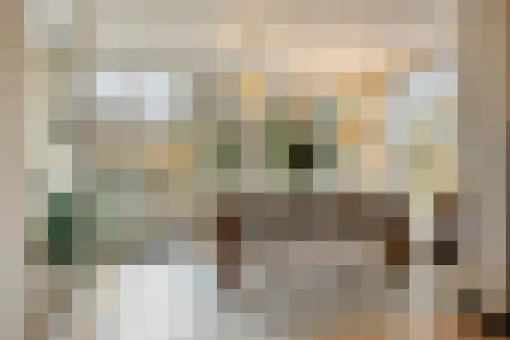 Ooster Lekdijk 8 Krimpen aan de Lek thumbnail 12