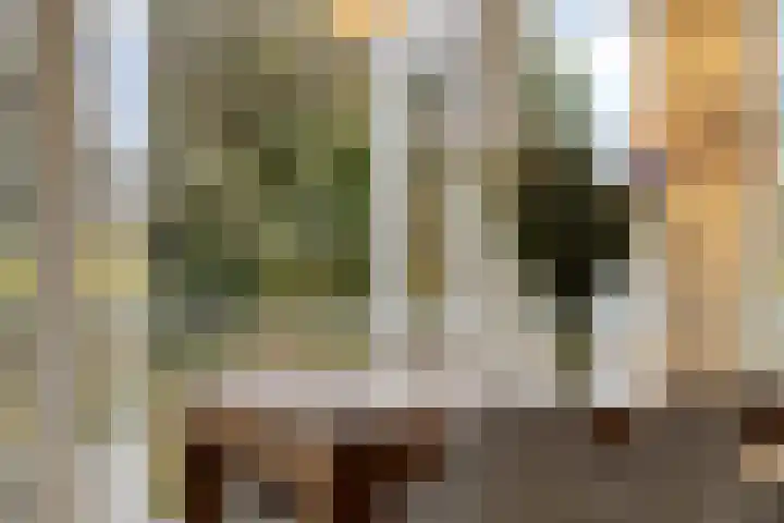 Ooster Lekdijk 8 Krimpen aan de Lek thumbnail 14