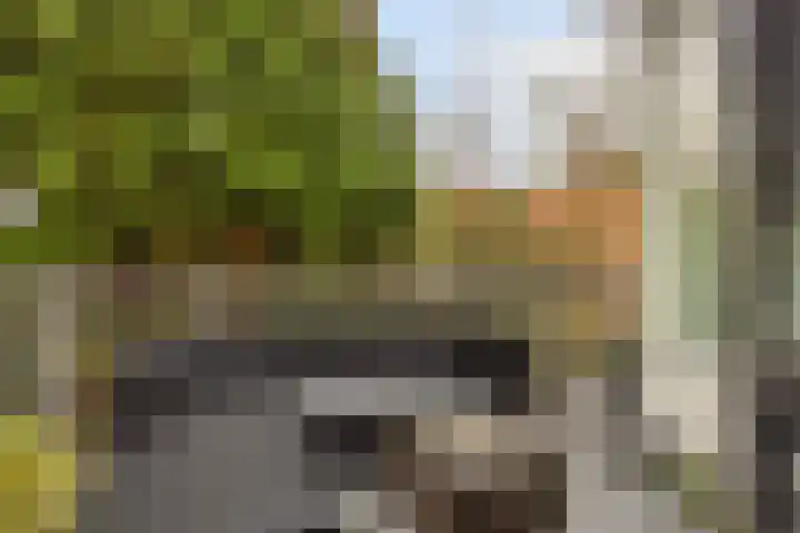 Ooster Lekdijk 8 Krimpen aan de Lek thumbnail 15