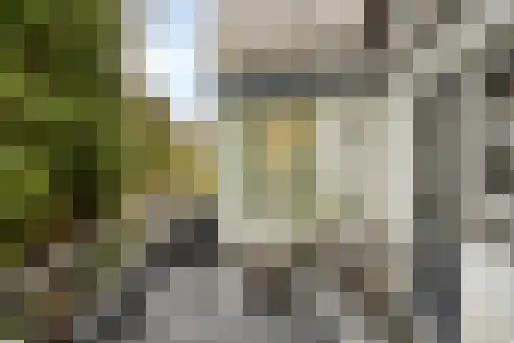 Ooster Lekdijk 8 Krimpen aan de Lek thumbnail 16