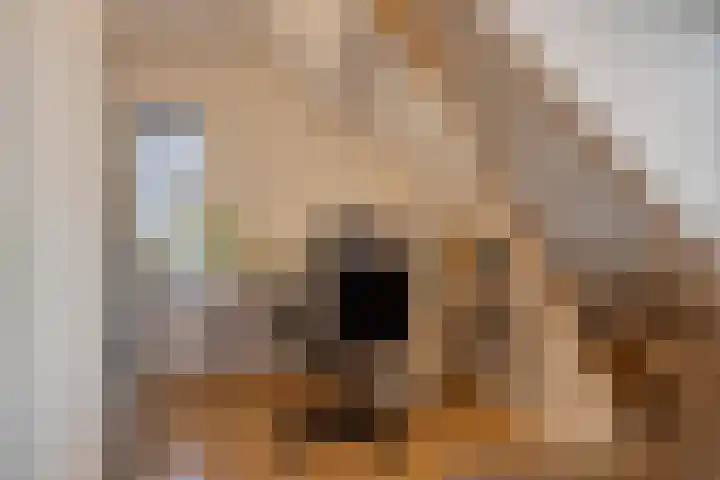 Ooster Lekdijk 8 Krimpen aan de Lek thumbnail 20