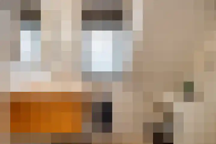 Ooster Lekdijk 8 Krimpen aan de Lek thumbnail 23