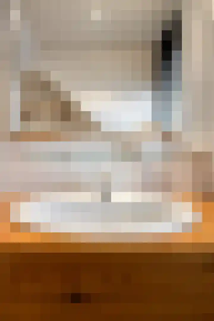 Ooster Lekdijk 8 Krimpen aan de Lek thumbnail 24