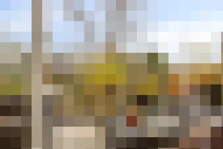 Ooster Lekdijk 8 Krimpen aan de Lek thumbnail 28