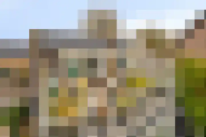 Ooster Lekdijk 8 Krimpen aan de Lek thumbnail 30