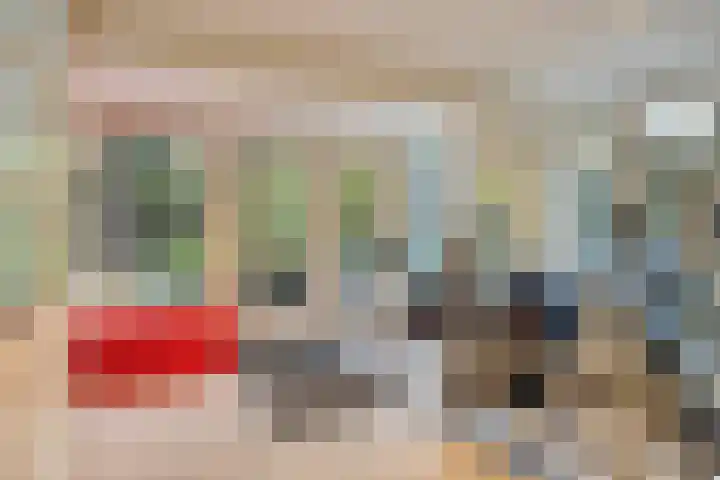 Ooster Lekdijk 8 Krimpen aan de Lek thumbnail 31