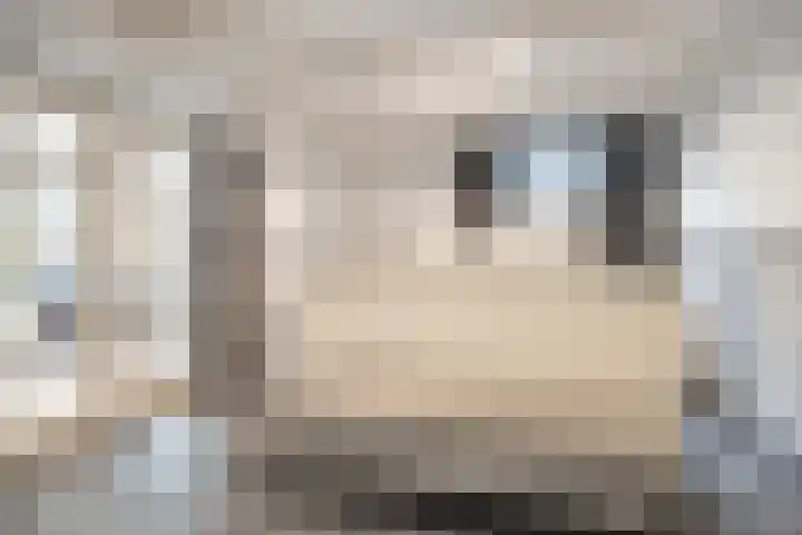 Ooster Lekdijk 8 Krimpen aan de Lek thumbnail 32