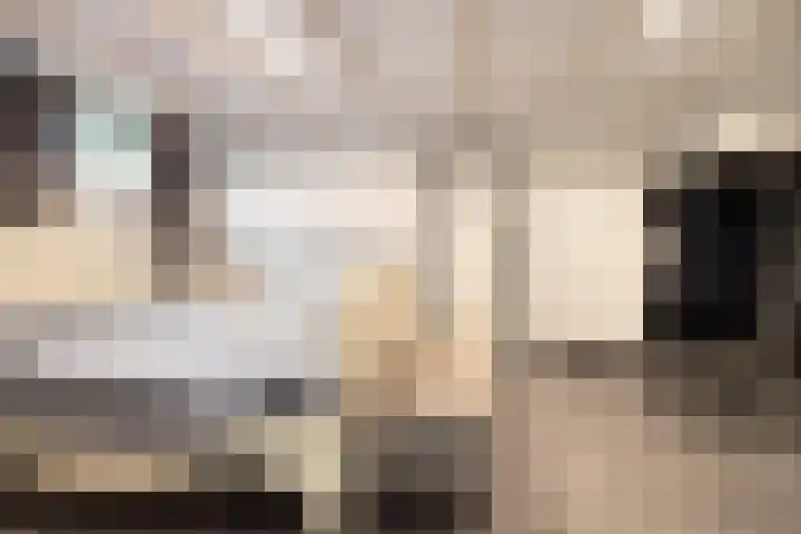 Ooster Lekdijk 8 Krimpen aan de Lek thumbnail 33