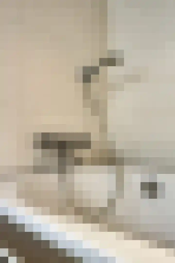 Ooster Lekdijk 8 Krimpen aan de Lek thumbnail 37