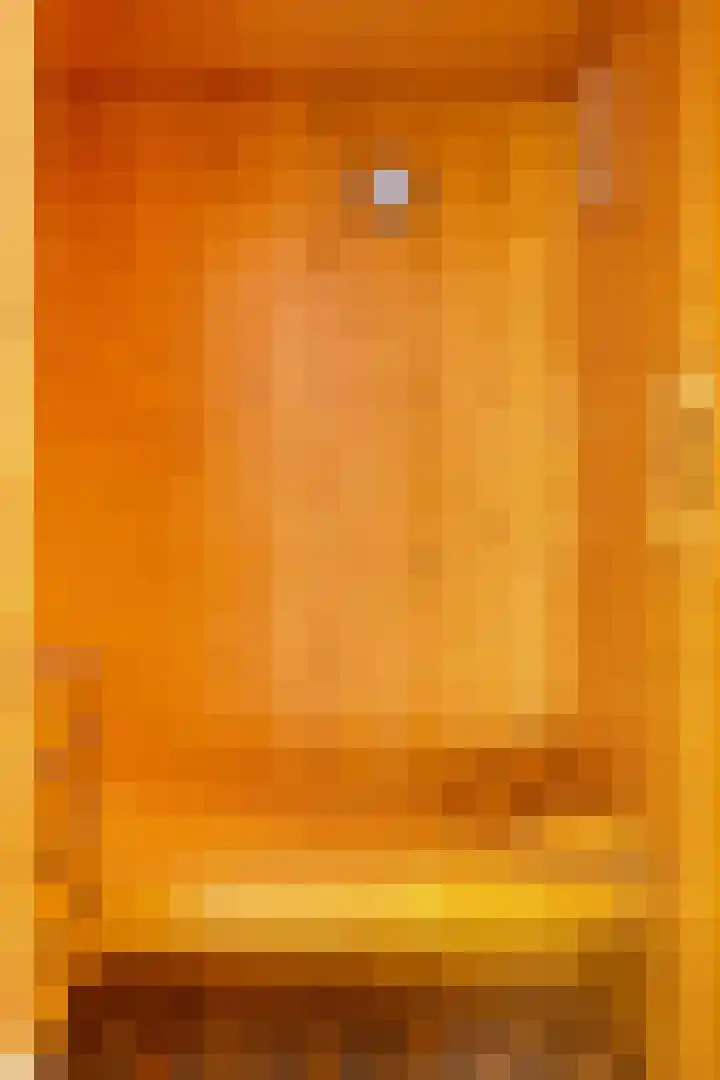 Ooster Lekdijk 8 Krimpen aan de Lek thumbnail 39