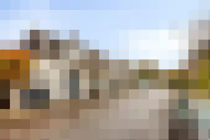 Ooster Lekdijk 8 Krimpen aan de Lek thumbnail 4