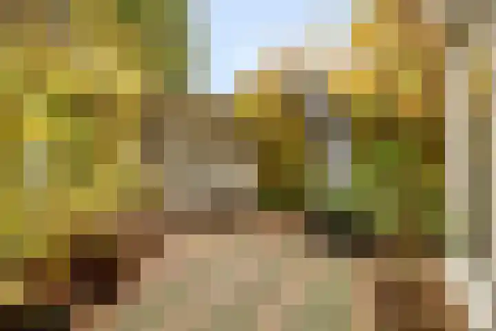 Ooster Lekdijk 8 Krimpen aan de Lek thumbnail 41