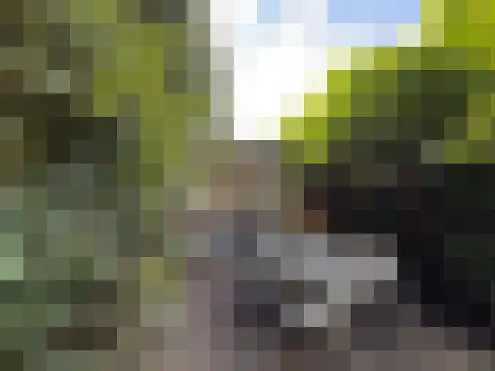 Ooster Lekdijk 8 Krimpen aan de Lek thumbnail 42