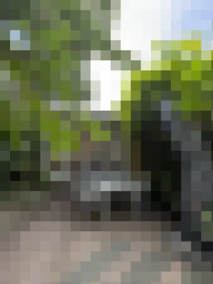 Ooster Lekdijk 8 Krimpen aan de Lek thumbnail 44