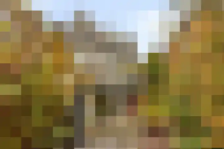 Ooster Lekdijk 8 Krimpen aan de Lek thumbnail 45