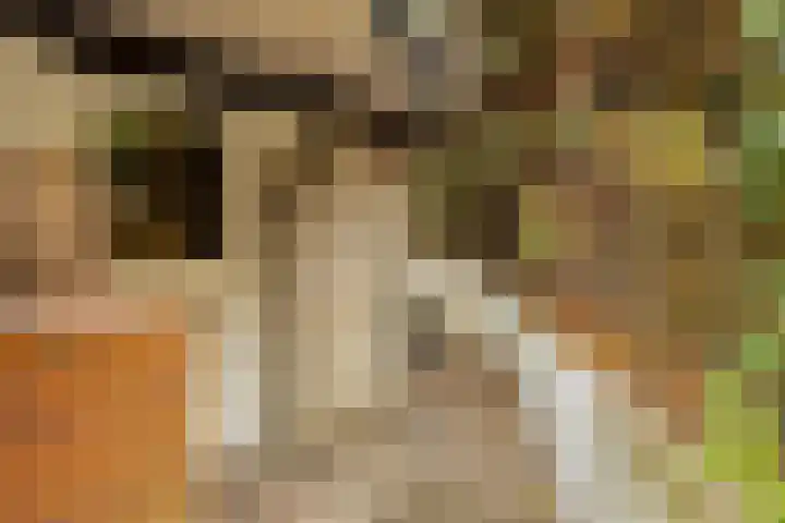 Ooster Lekdijk 8 Krimpen aan de Lek thumbnail 46