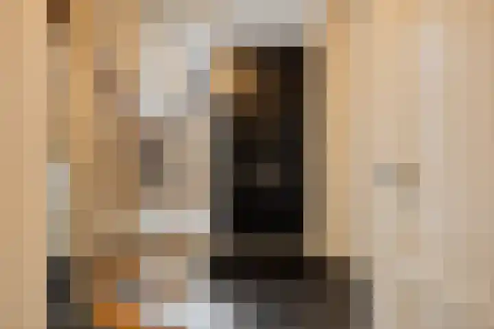 Ooster Lekdijk 8 Krimpen aan de Lek thumbnail 5
