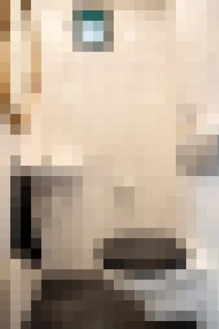Ooster Lekdijk 8 Krimpen aan de Lek thumbnail 6