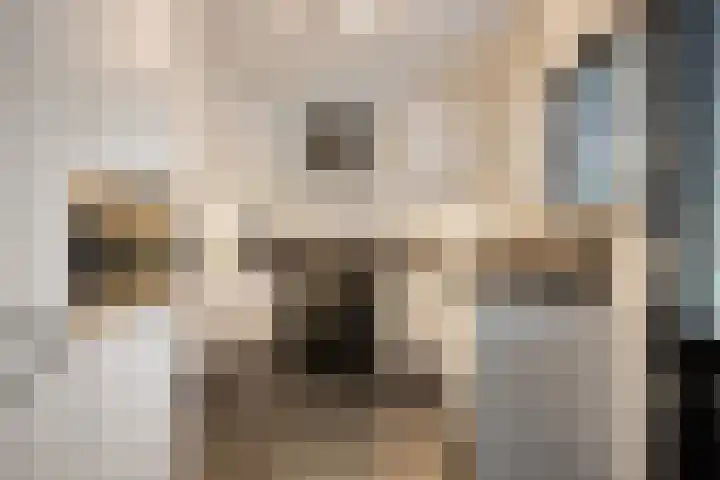 Ooster Lekdijk 8 Krimpen aan de Lek thumbnail 7