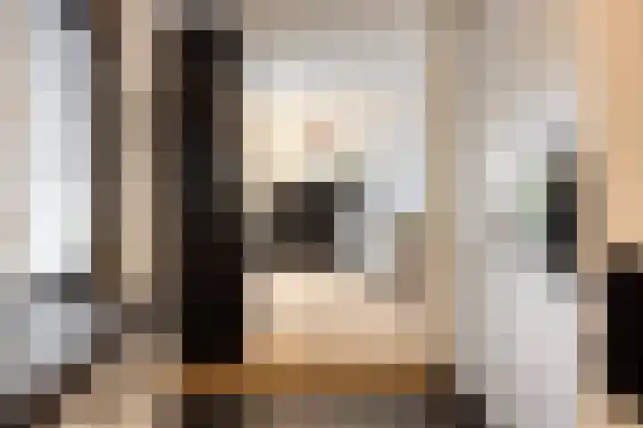 Ooster Lekdijk 8 Krimpen aan de Lek thumbnail 8