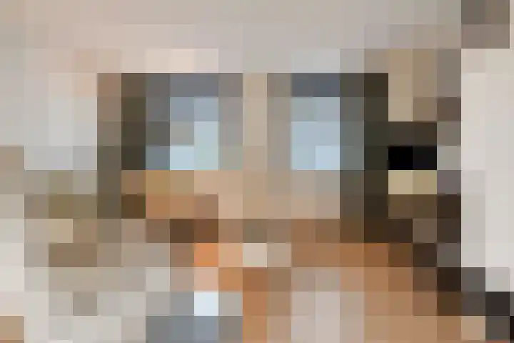 Ooster Lekdijk 8 Krimpen aan de Lek thumbnail 9