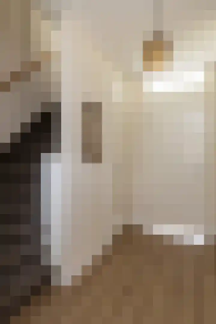 Ooster Mheenweg 7 C Hierden thumbnail 29