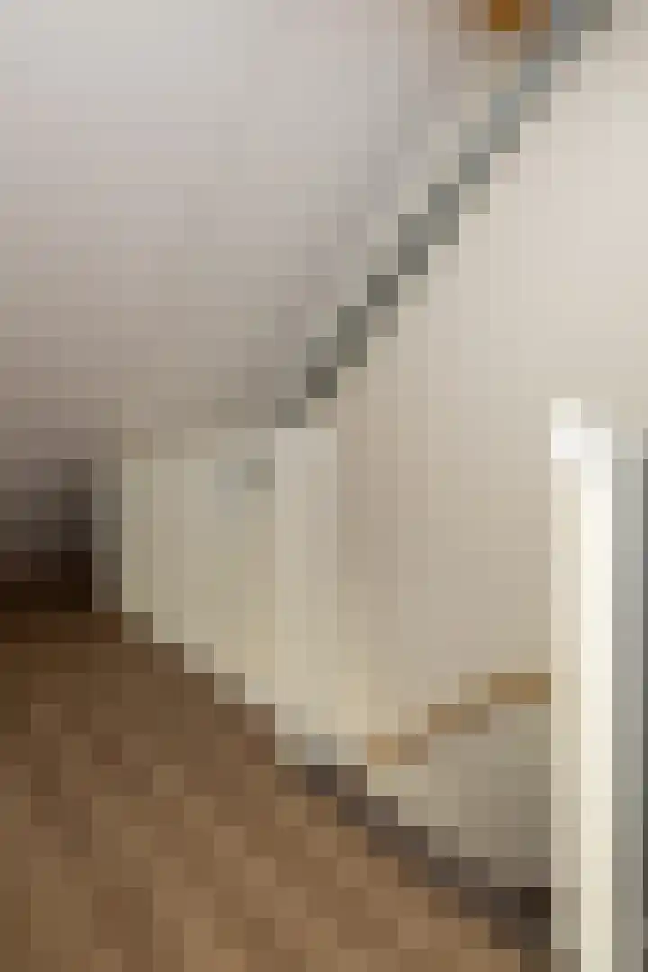 Ooster Mheenweg 7 C Hierden thumbnail 30