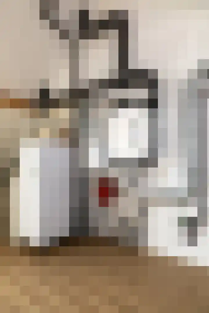 Ooster Mheenweg 7 C Hierden thumbnail 31