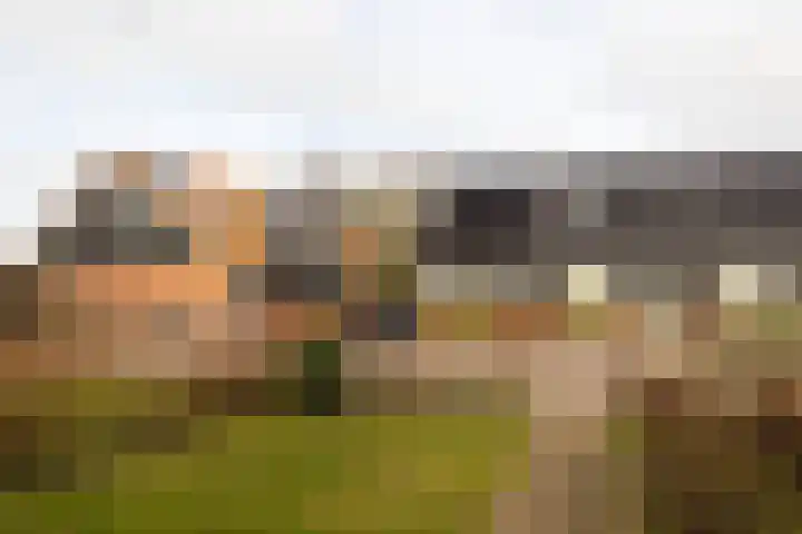 Ooster Mheenweg 7 C Hierden thumbnail 37