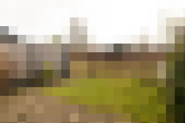Ooster Mheenweg 7 C Hierden thumbnail 9
