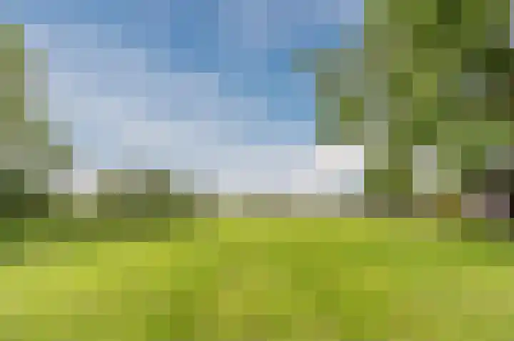 Ooster Oenerweg 9 Oene thumbnail 4