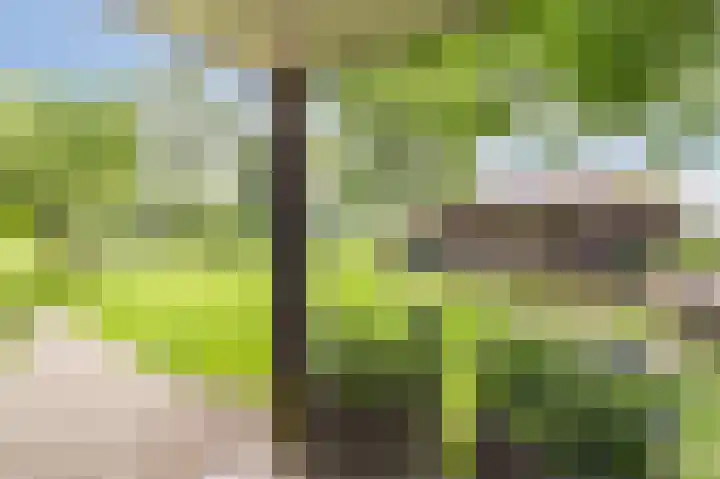 Ooster Oenerweg 9 Oene thumbnail 69