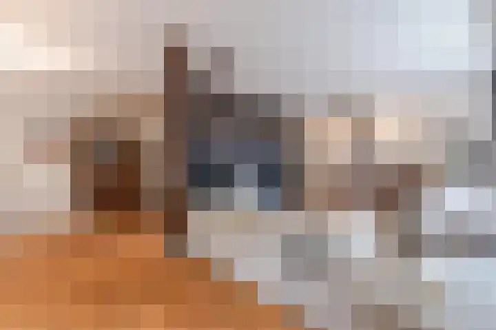 Ooster Oenerweg 9 Oene thumbnail 7