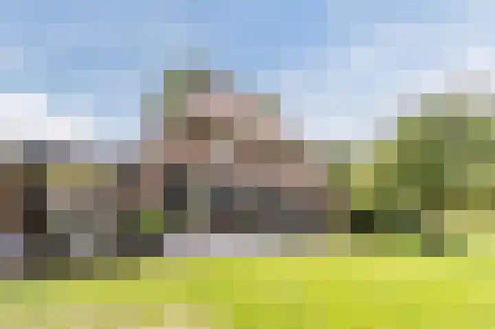 Ooster Oenerweg 9 Oene thumbnail 70