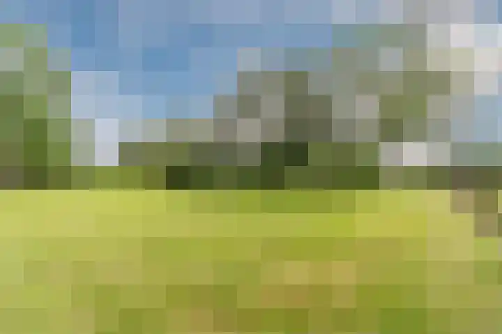Ooster Oenerweg 9 Oene thumbnail 90