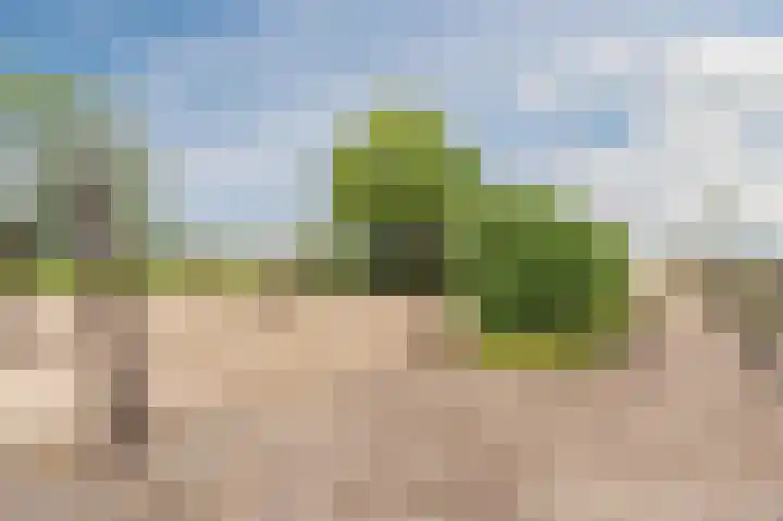 Ooster Oenerweg 9 Oene thumbnail 91