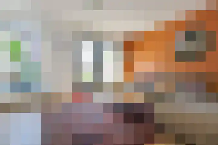 Ooster Vlaerdinge 103 Heerhugowaard thumbnail 16