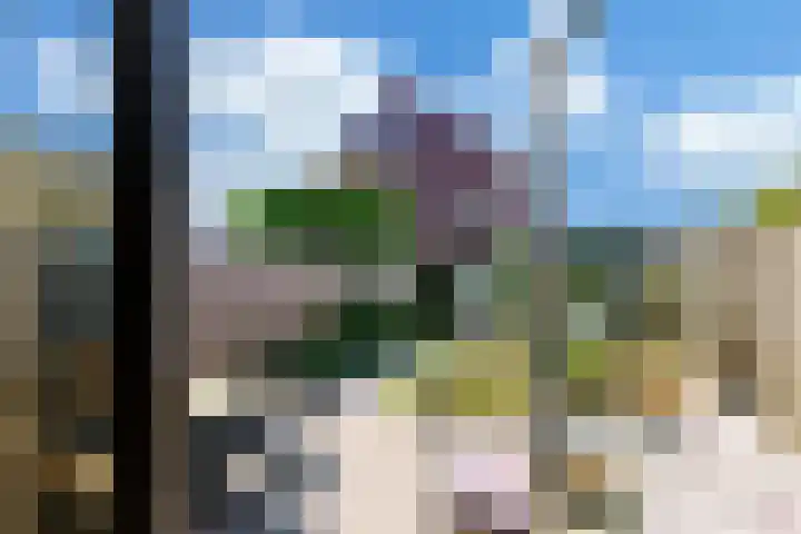 Ooster Vlaerdinge 103 Heerhugowaard thumbnail 33