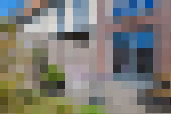 Ooster Vlaerdinge 103 Heerhugowaard thumbnail 35